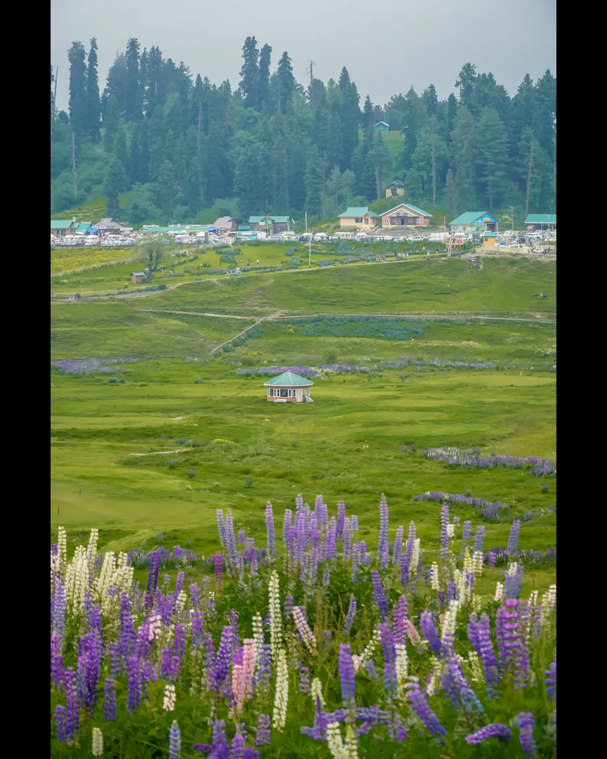 Tourist Places in Jammu & Kashmir
Gulmarg
Gulmarg Tourism
Situated at an altitude of 2730 m above...