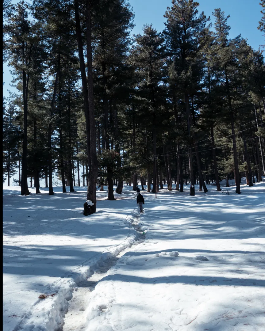 Tourist Places in Jammu & Kashmir
Yusmarg
Yusmarg Tourism
Yusmarg is Kashmir with the crowds tur...