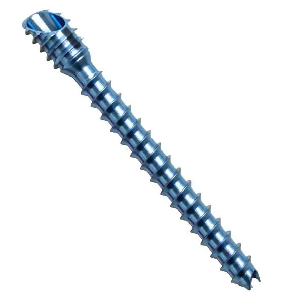 Herbert Screw Manufacturer In Gujarat