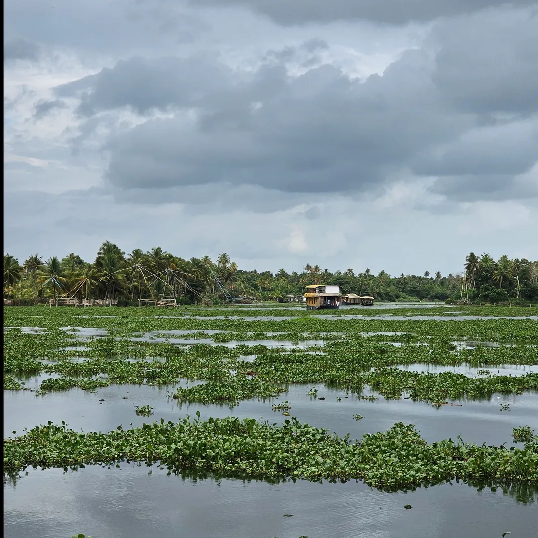 Tourist Places in Kerala
Kumarakom
Kumarakom Tourism
With emerald green waters flanked by lush ve...