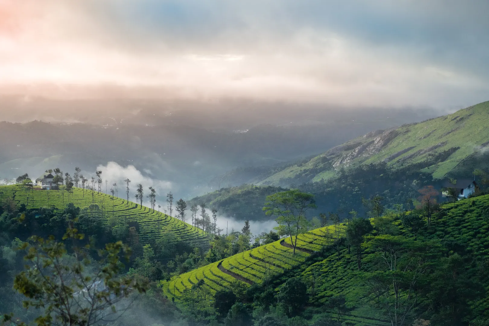 Tourist Places in Kerala
Vagamon
Vagamon Tourism
Vagamon, also known as Wagamon, is a tranquil h...