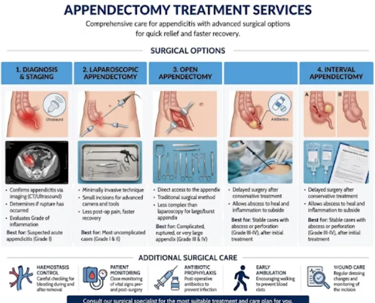 When Is an Appendectomy Needed? Signs You Should Never Ignore