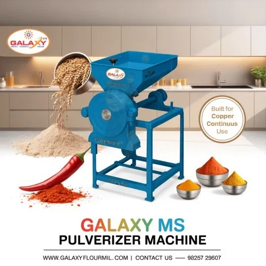 Food Processing Plant Manufacturer in India | Galaxy Food Machinery