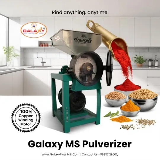 Industrial Food Processing Plant Manufacturer in India | Galaxy Food Machinery