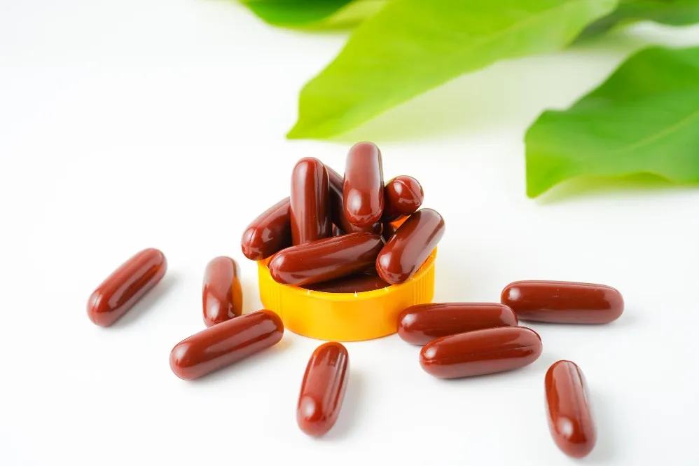How Nutraceutical Capsules Manufacturers Support Modern Health Supplement Brands