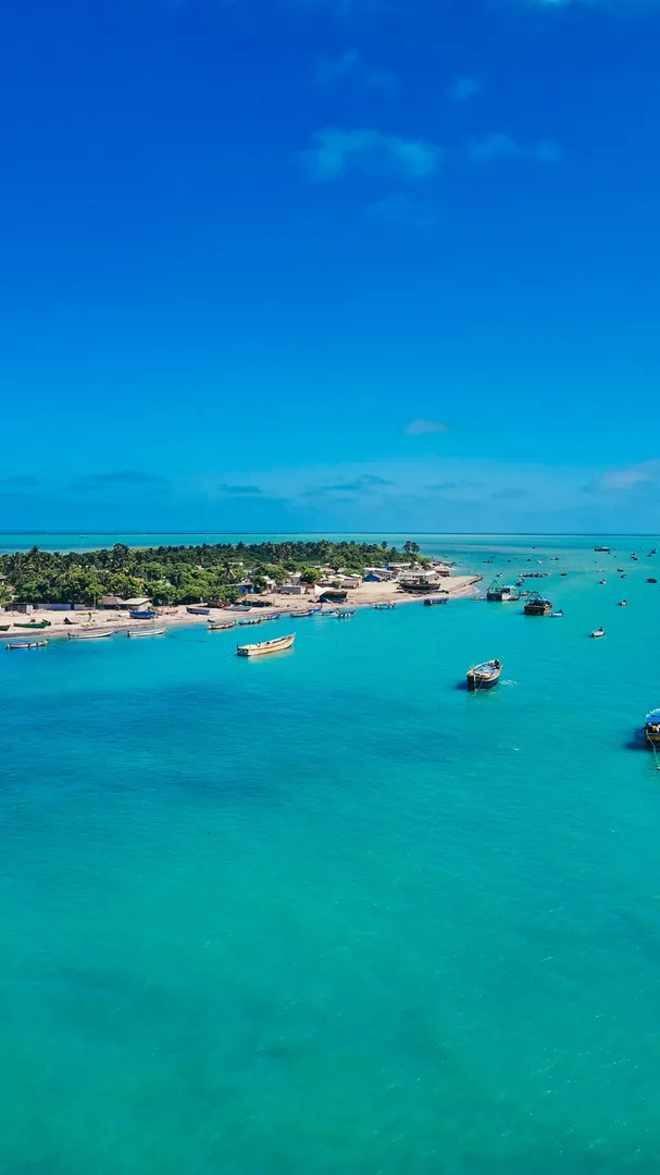 Tourist places in Tamil Nadu
Dhanushkodi
Dhanushkodi Tourism
Dhanushkodi is a small, sparsely po...
