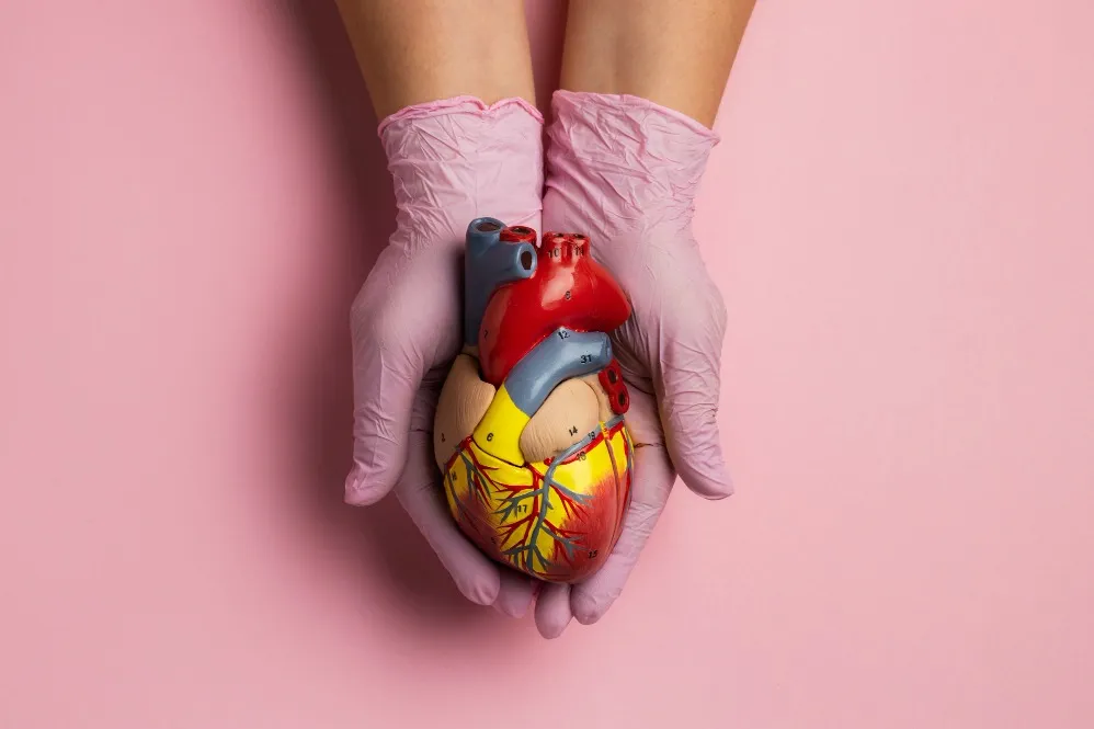 Infant Cardiac Surgery Specialist How to Choose the Right Expert for Your Baby's Heart Condition