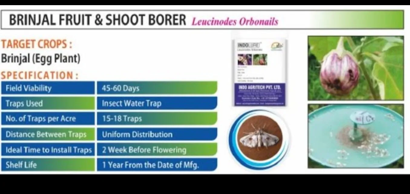 'Indo Pheromone Lure and Trap for Effective Pest
Management”
...