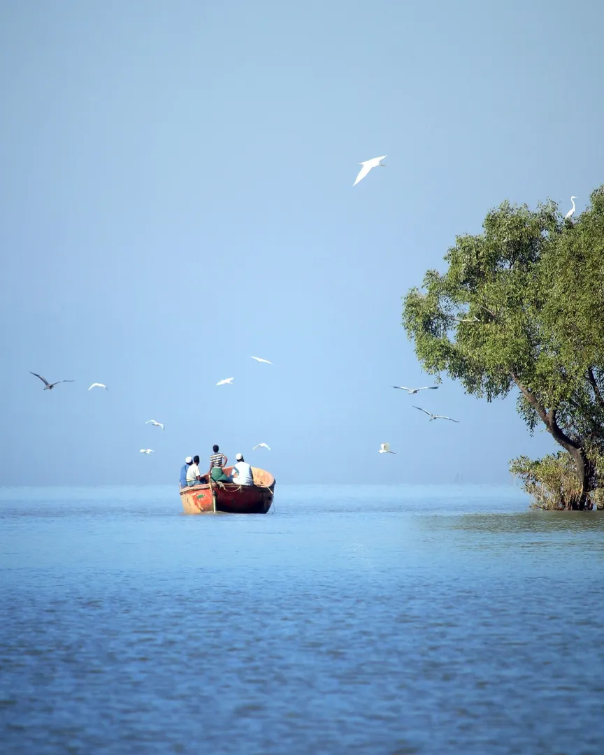 Tourist Places in Odisha
Chilika Lake
Chilika Lake, Puri Overview
Chilika Lake is the largest int...