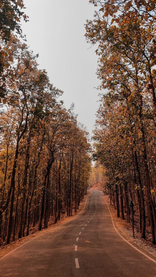 Tourist Places in Odisha
Daringbadi
Daringbadi Tourism
Daringbadi is a hilly town in Odisha. Hidd...