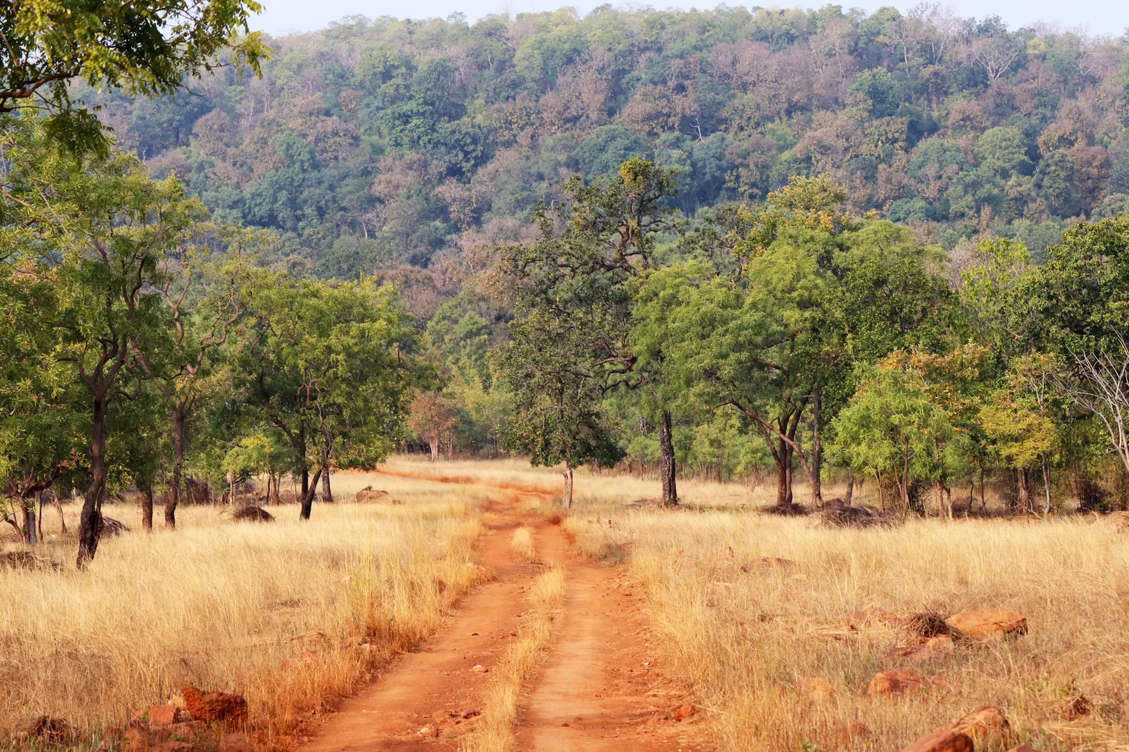 Tourist Places in Odisha
Simlipal National Park
Simlipal National Park, Baripada Overview
Reflect...