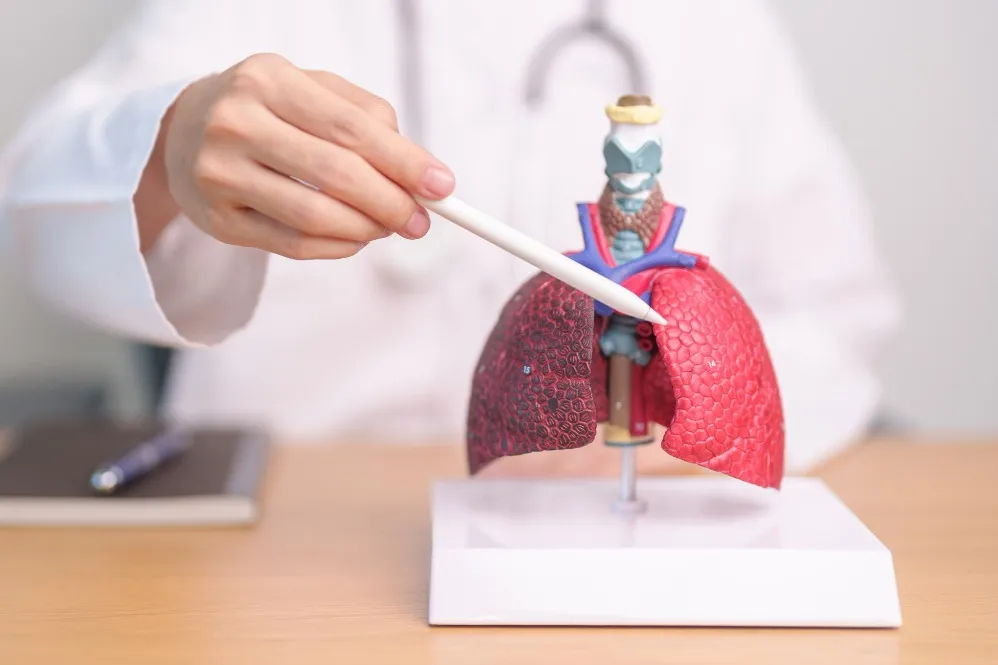Best Pulmonary Specialist Near Me: 10 Things to Check Before Booking Your Appointment