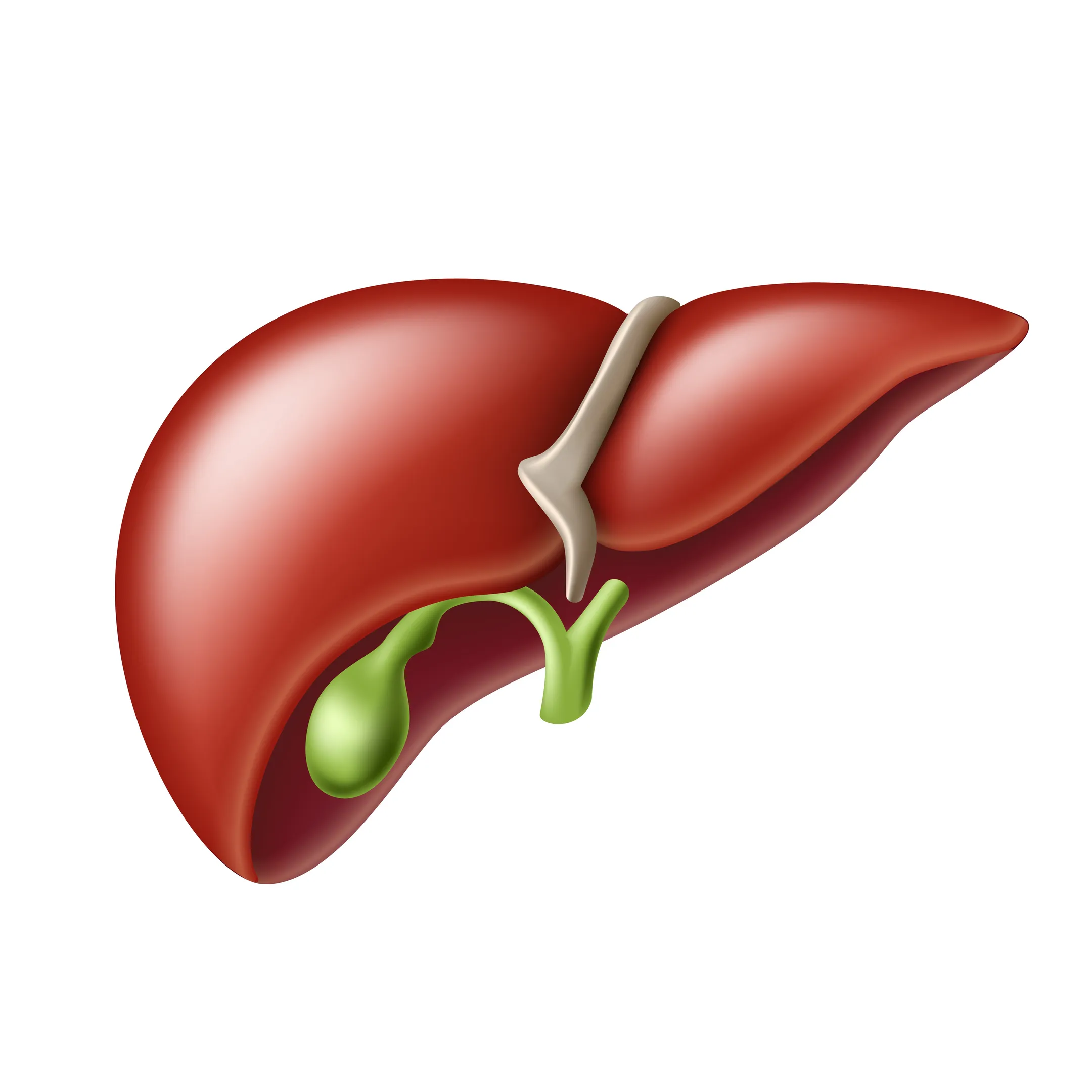 When Should You Seek a Second Opinion for Liver or HPB Surgery? A Guide for Patients in PCMC