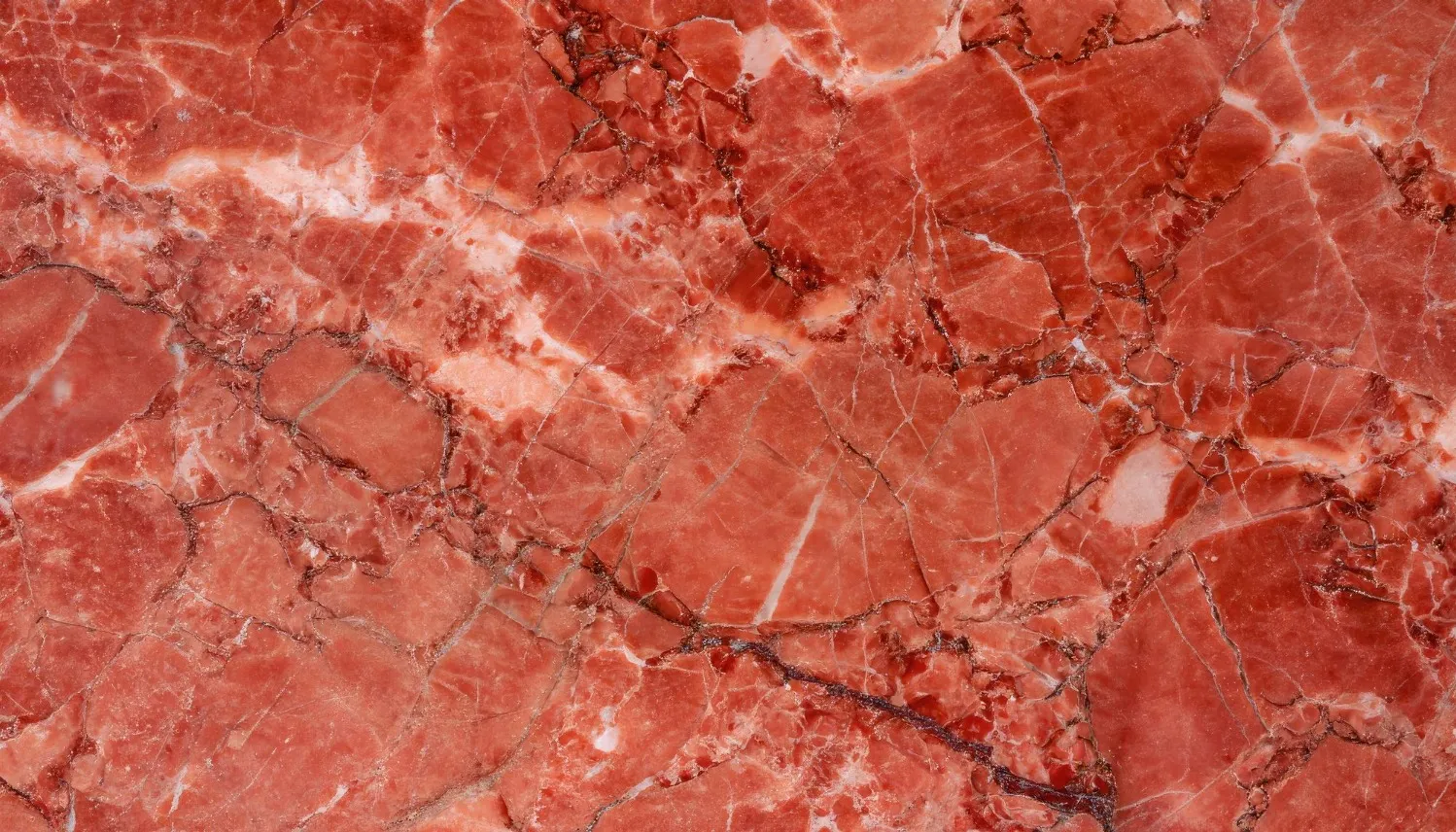 How to Choose the Right Red Marble Dealer for Your Interior Design Needs