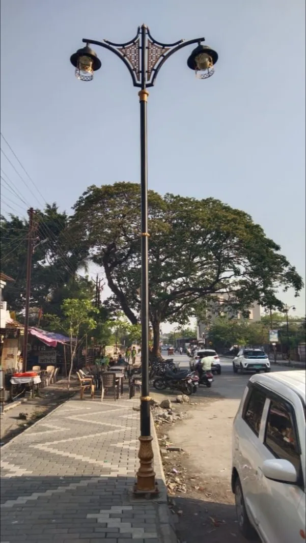 6-Meter Premium Decorative Twin-Arm Lighting Pole in nagpur