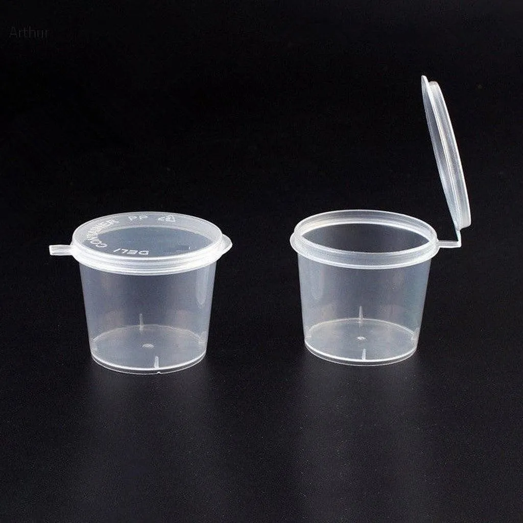Premium Transparent Plastic Containers with Hinged Lid for Secure & Reliable Packaging in Delhi NCR