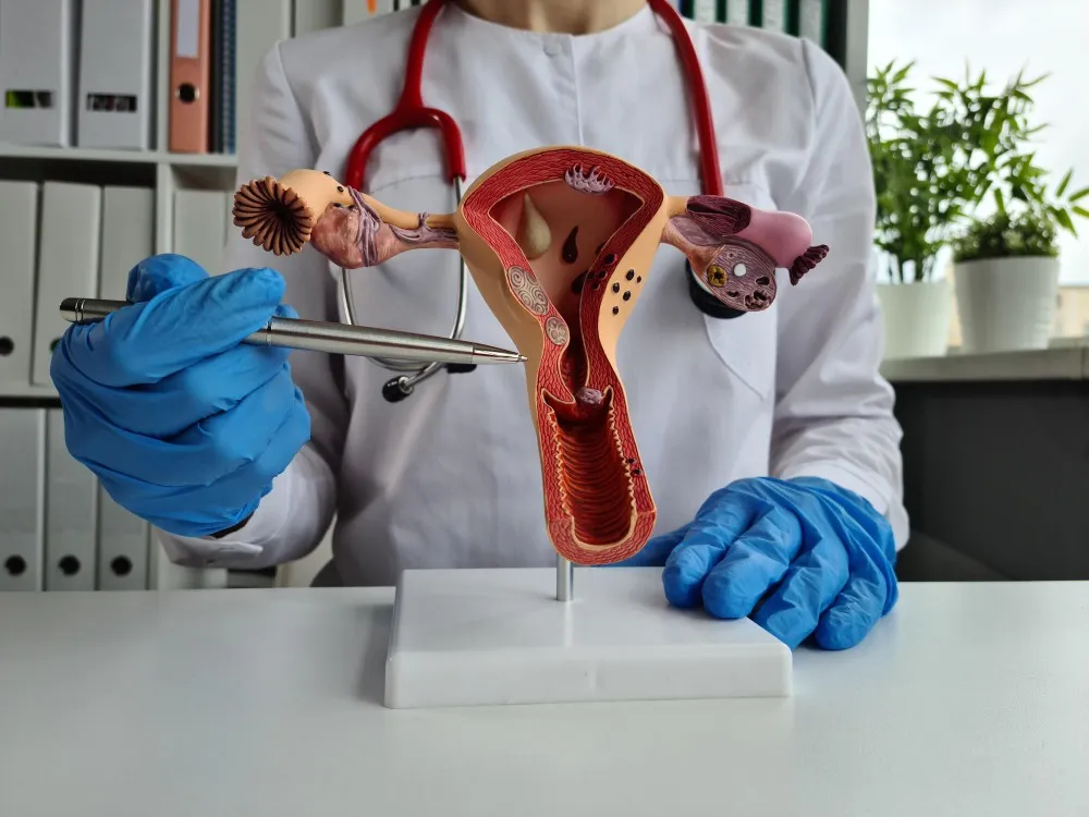 Pap Smear Test: Why Regular Cervical Screening Is an Important Part of Women's Healthcare