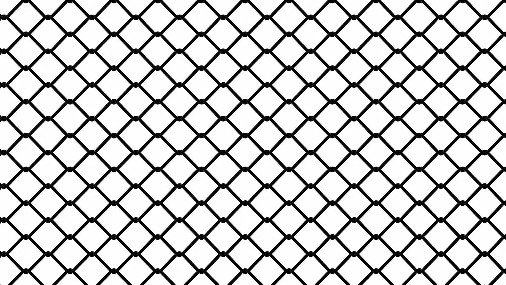 Holding Mesh Solutions That Improve Window Protection Throughout the Year