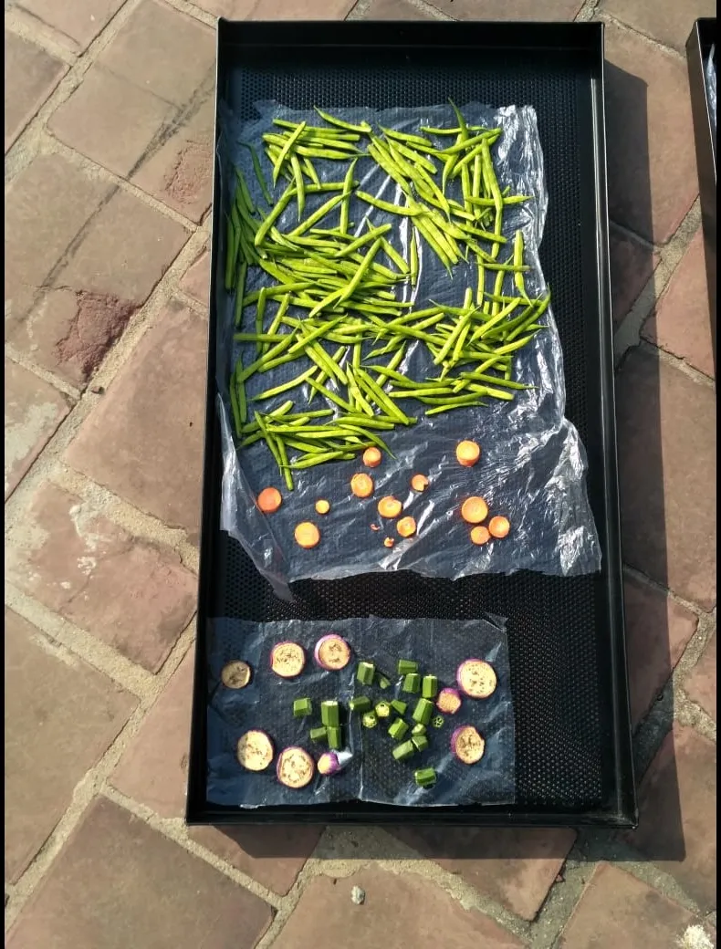 Commercial Solar Dryer in Siwan, Bihar for Fruits, Spices and Food Processing
