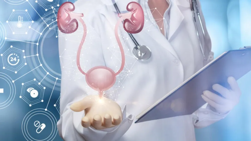 How to Choose the Right Top Urologist for Your Treatment Needs