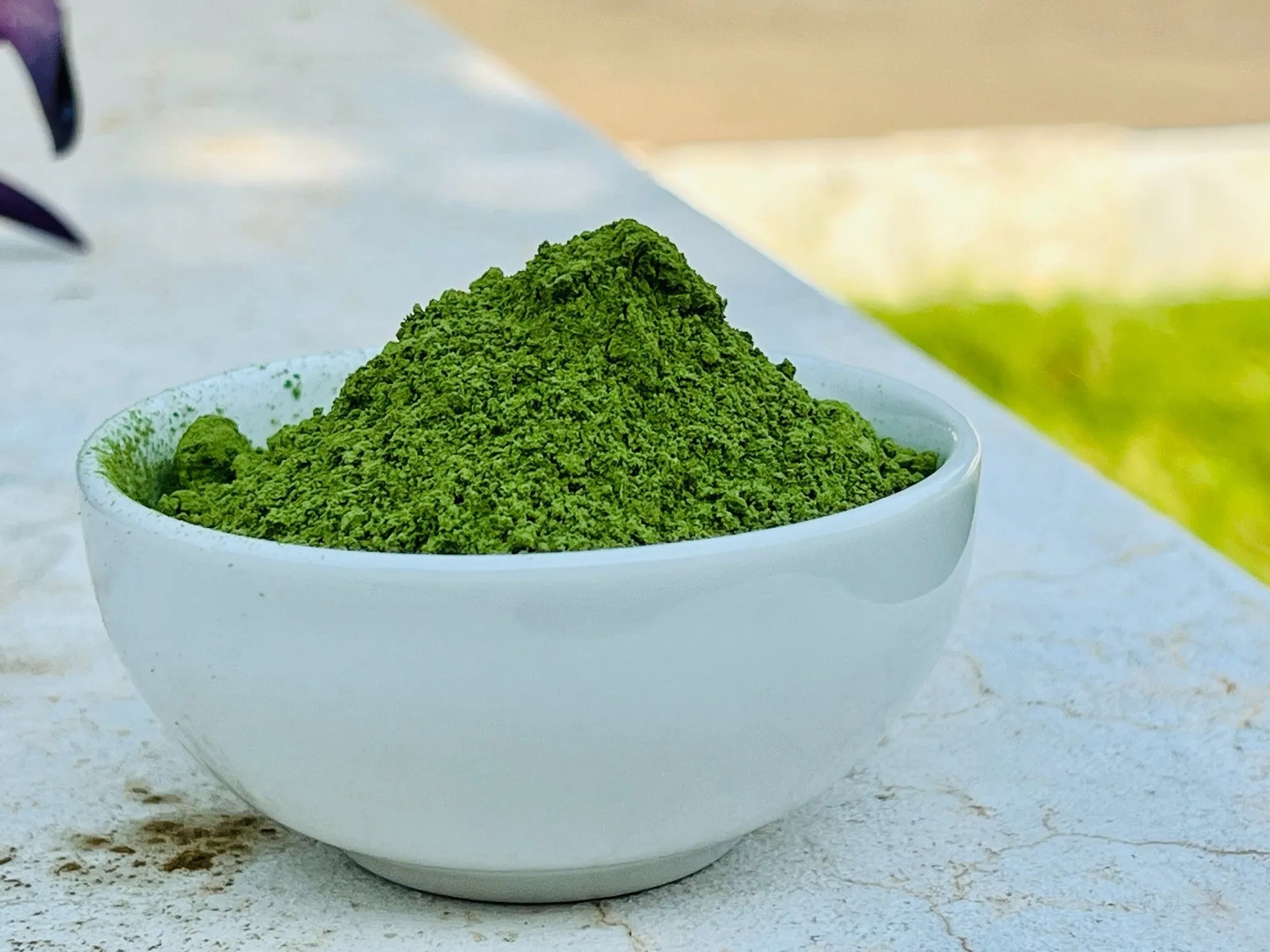 High Quality Best Moringa Powder Exporter from India | Bulk Supply - Global B2B Supplier