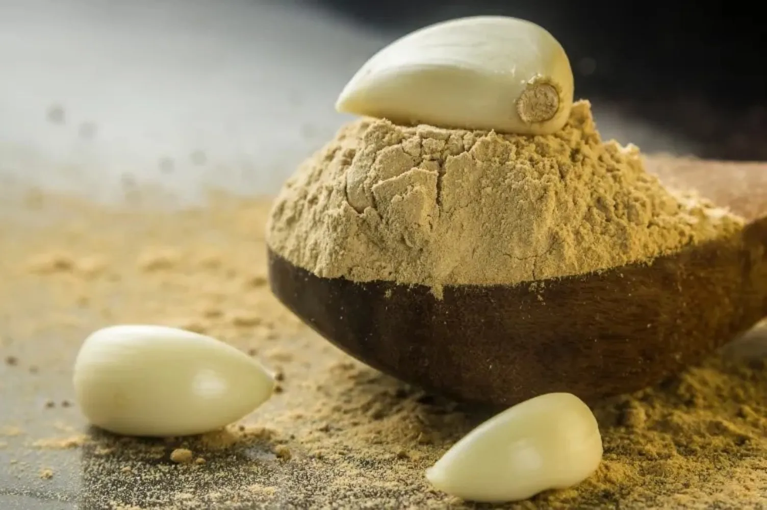Buy premium Garlic Powder from a trusted exporter and manufacturer in India