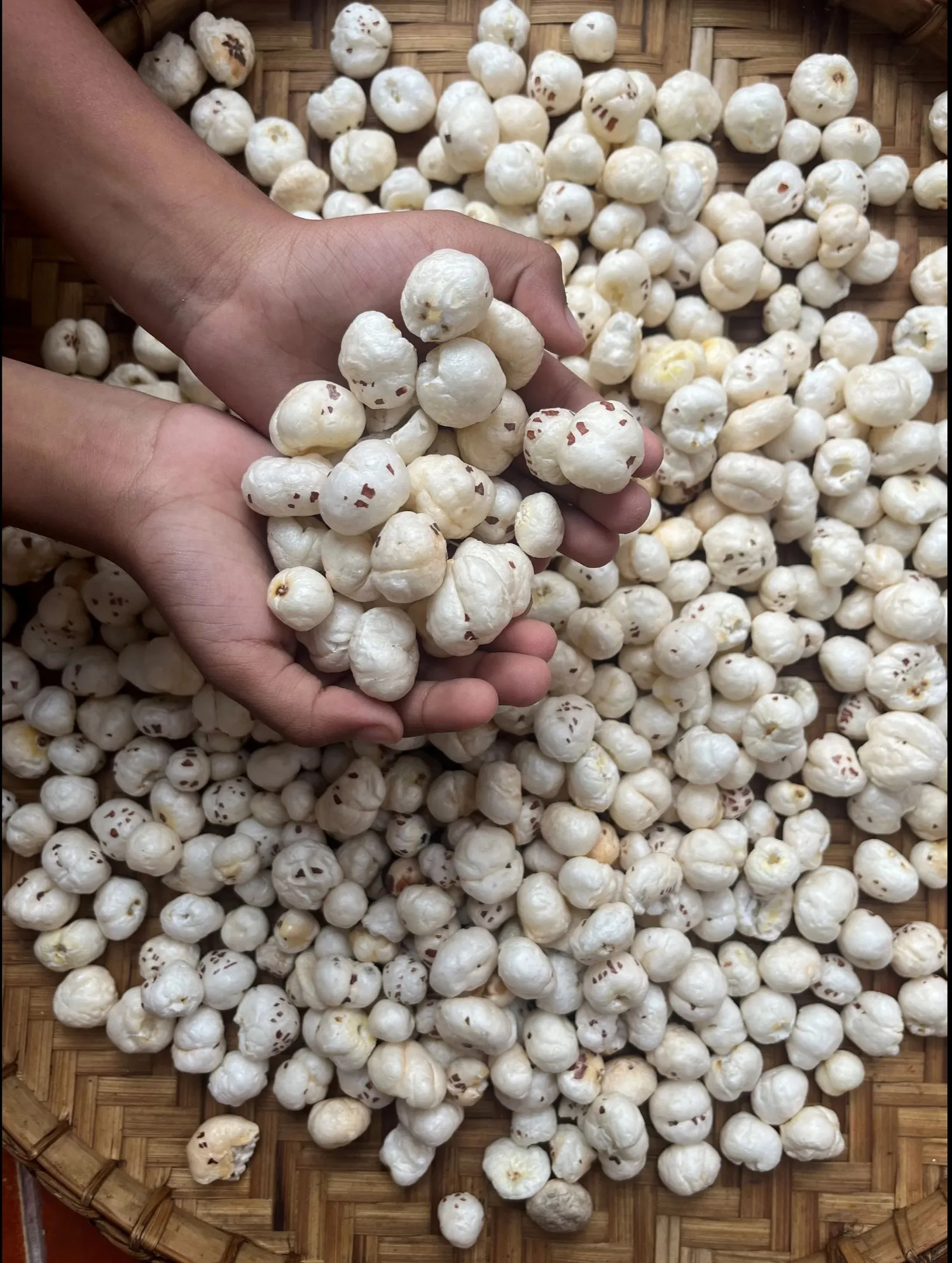 Premium Salted Makhana Exporter from India | Bulk Roasted Fox Nuts Supplier