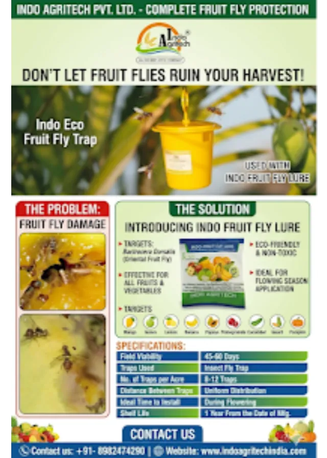 Order Your Indo Eco Fruit Fly Trap and Indo Fruit Fly Lure Today!
The Indo Eco Fruit Fly Trap is ...