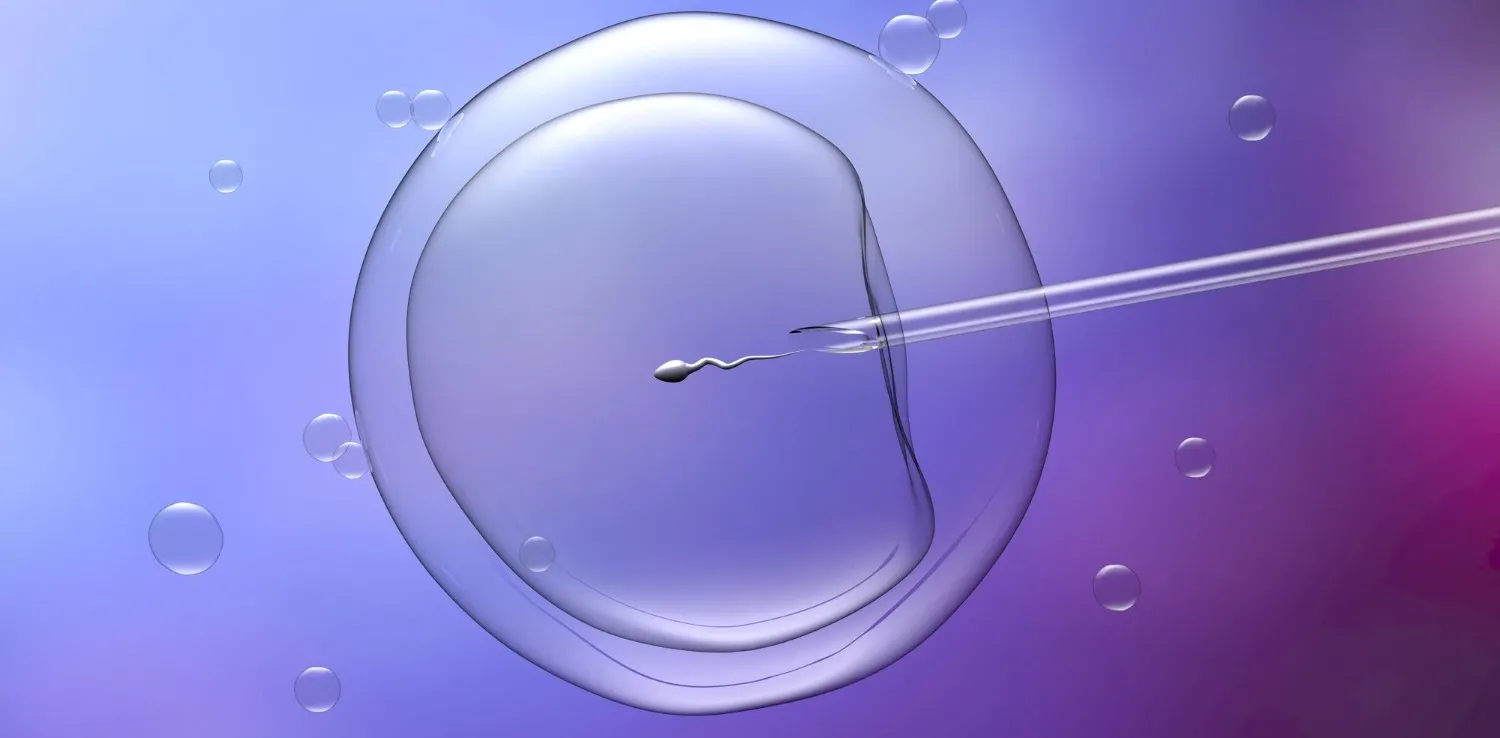 How IVF Treatment Supports Couples Facing Fertility Challenges