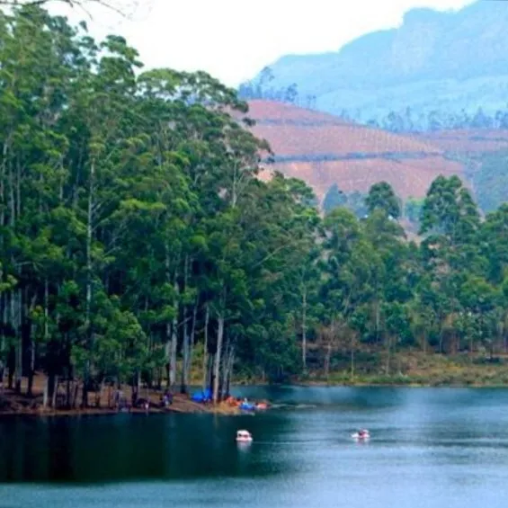 Visit Kundala Lake is a beautiful artificial lake located about 20 km from Munnar town in Kerala. It...