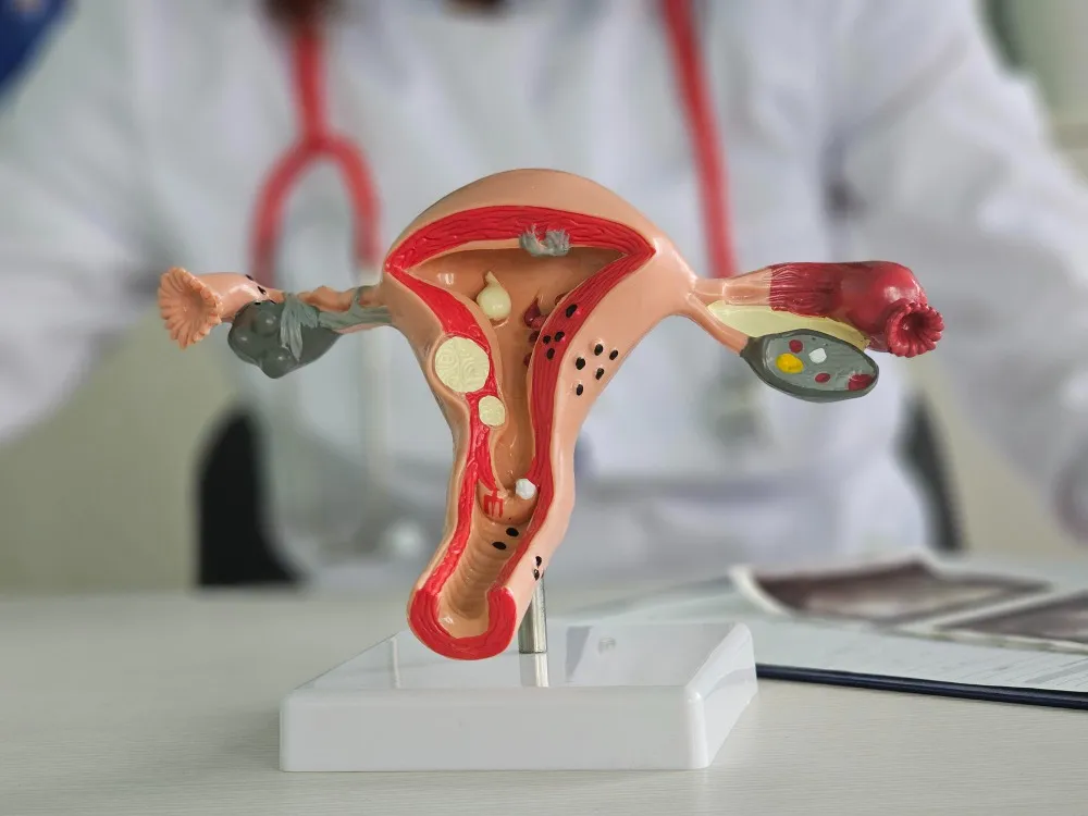 Gynecological Services in Pune Understanding Women’s Healthcare Needs