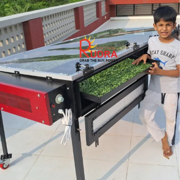 Multi-Crop Solar Dryer for Farm Produce Processing in Amethi, Uttar Pradesh