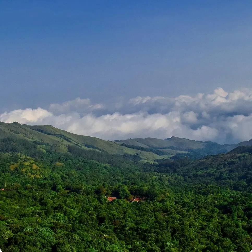 Coorg