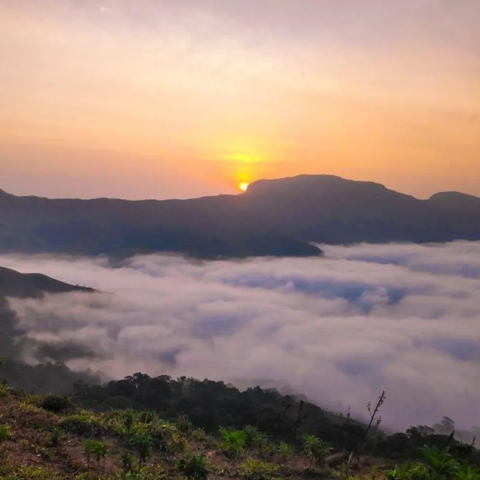 Coorg