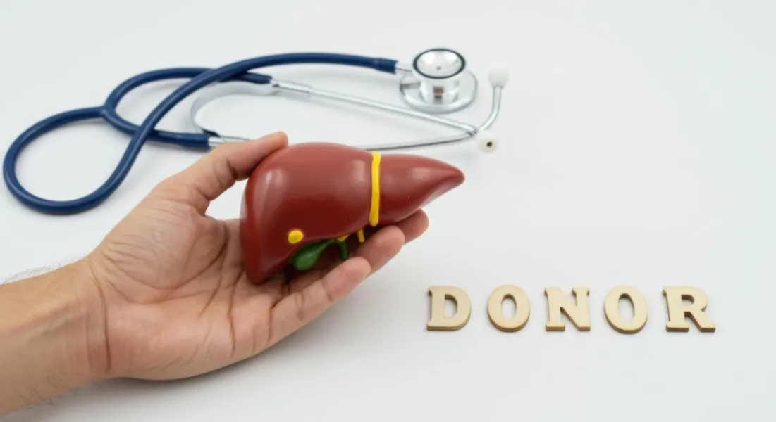 Liver Transplant Survival Rate: What Patients and Families Should Know About Long-Term Care