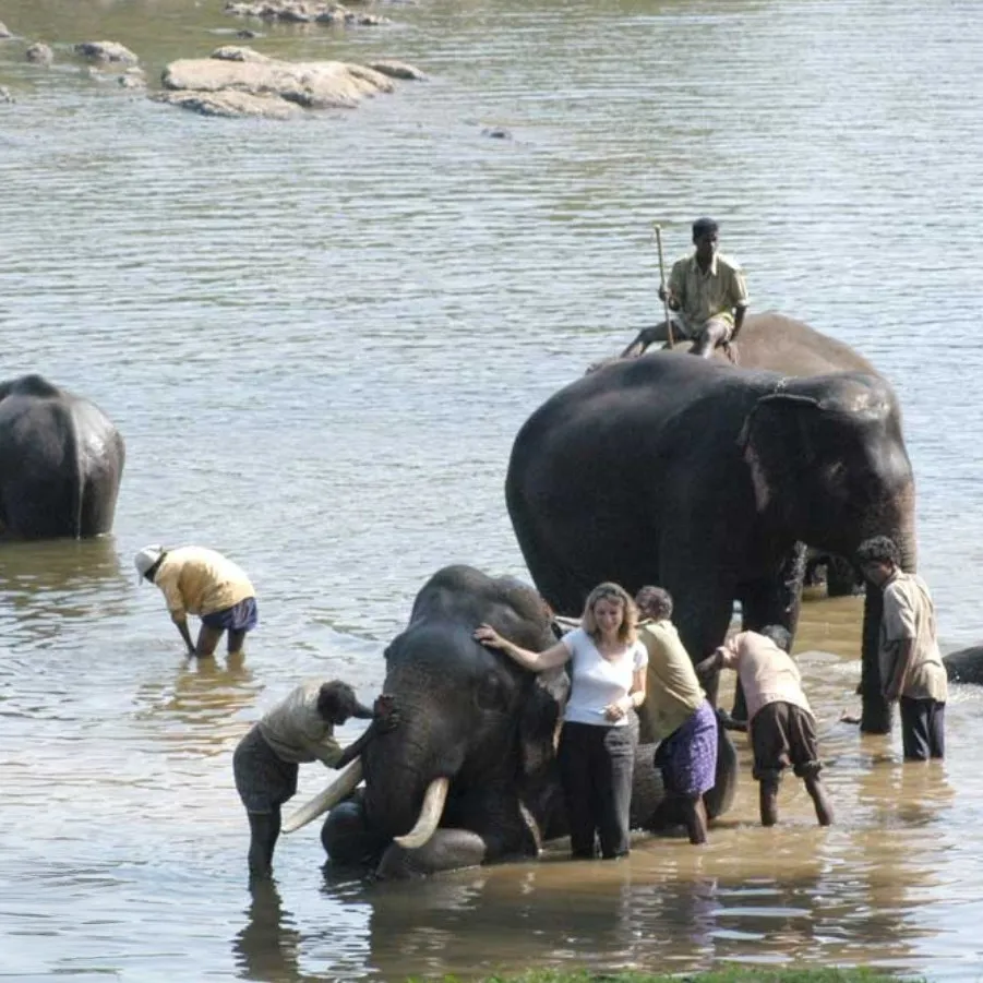 Coorg