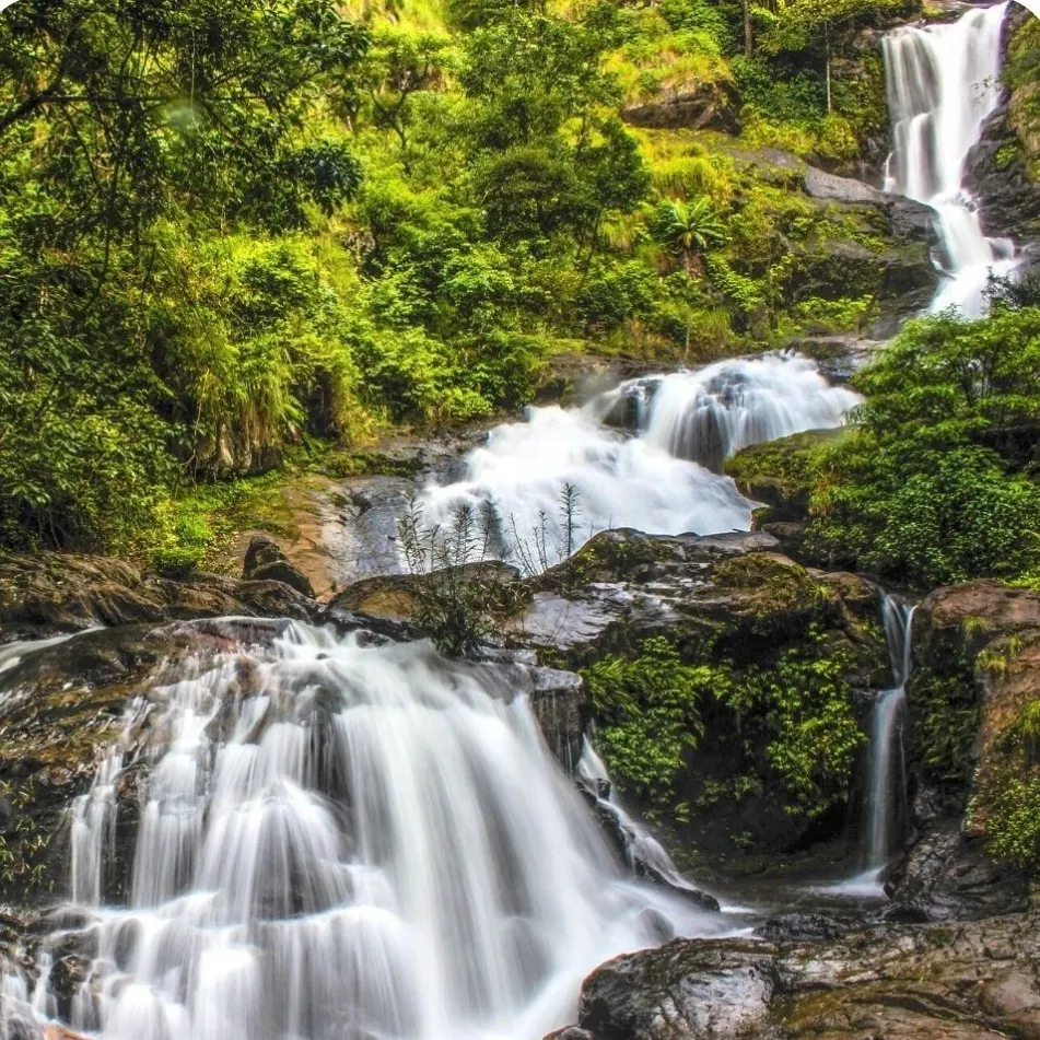 Coorg