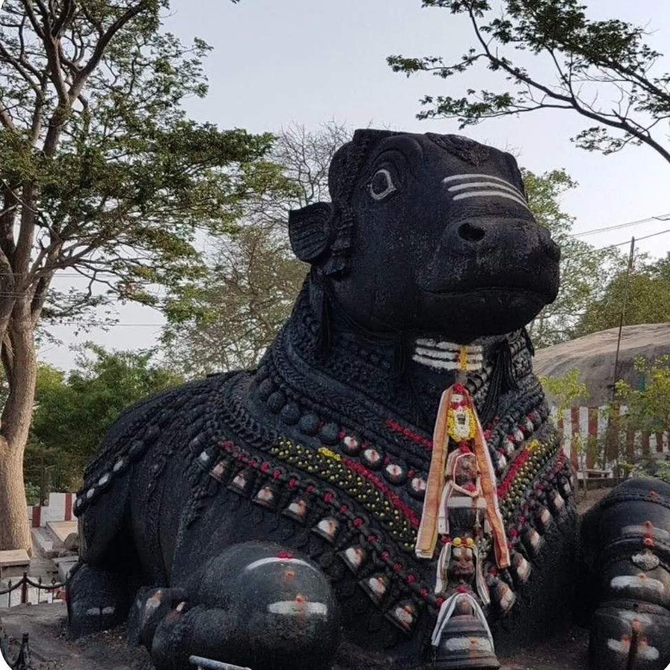 Bangalore