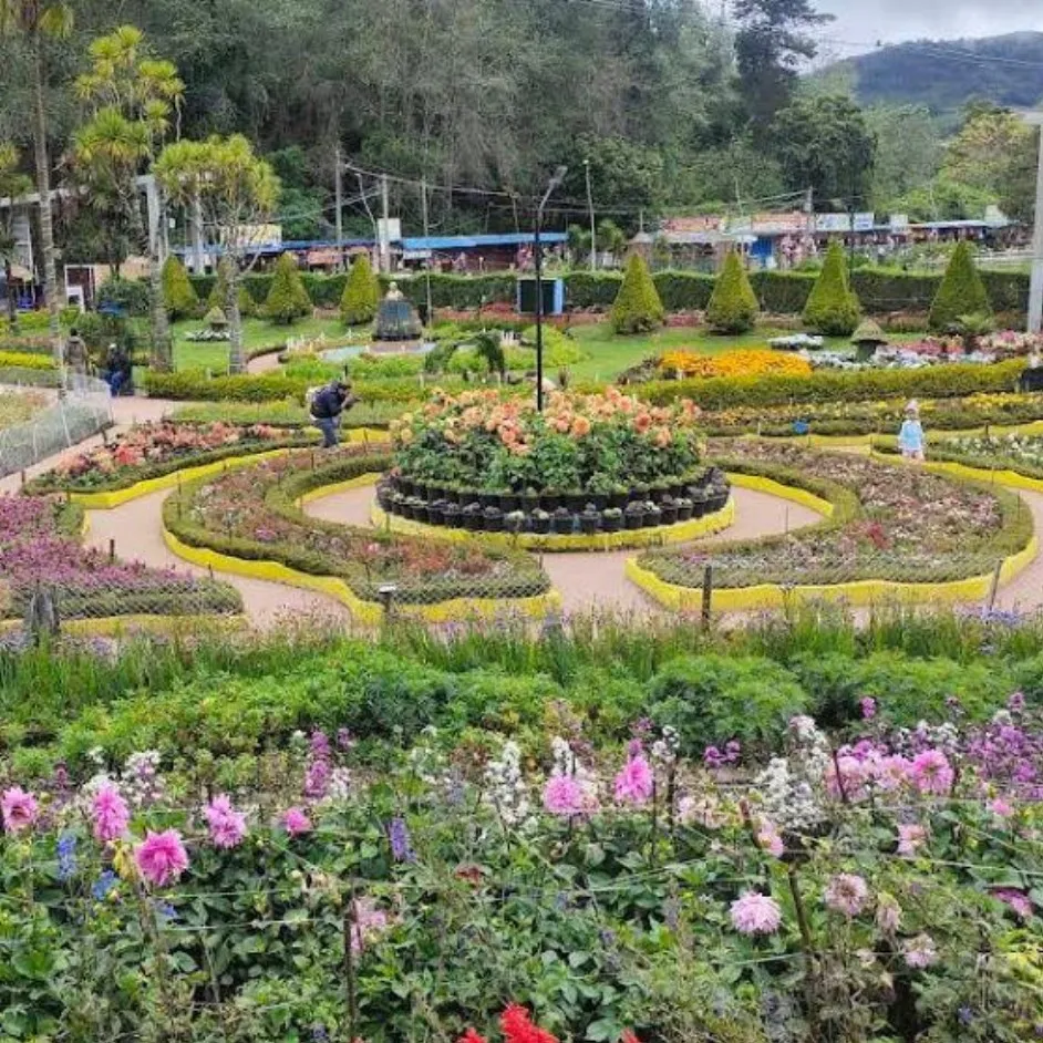 Ooty