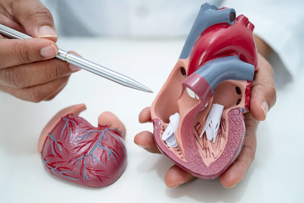Left Atrial Appendage Closure for Stroke Risk Reduction in Atrial Fibrillation
