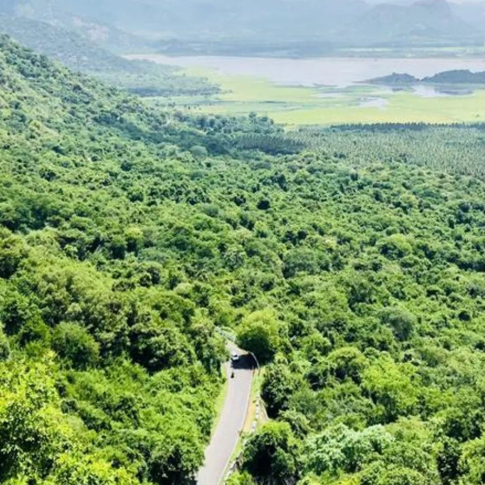 Kodaikanal