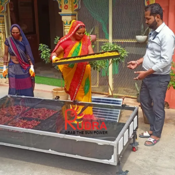 Solar Dryer in Bareilly: Wheat, Paddy, Carrot & Leafy Vegetable Processing
