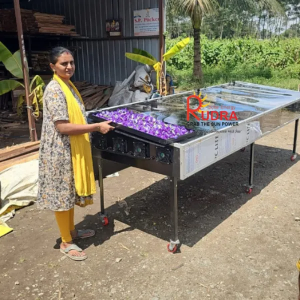 Solar Dryer in Basti: Practical Processing for Maize, Pulses & Potato