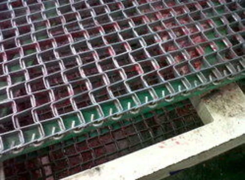 Wire Mesh Conveyors in Coimbatore for Heat, Cooling and Process Applications