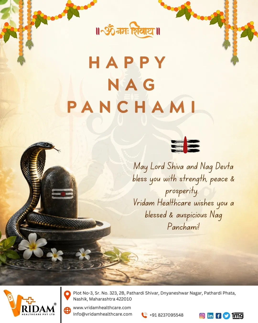 Happy Nagpanchami from Vridam Healthcare