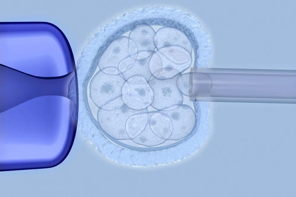 Blastocyst Transfer Benefits and When Fertility Specialists Recommend It