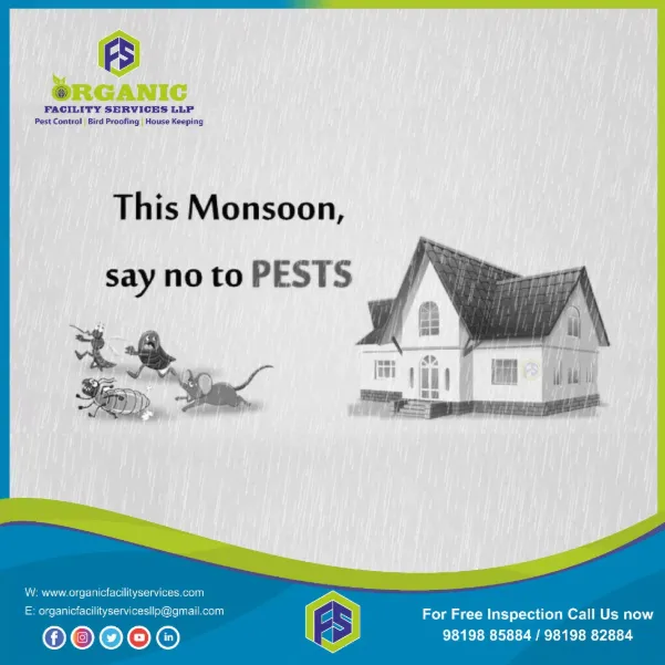 What to Ask When Searching for a Pest Control Service Near Me Contact No. in Borivali