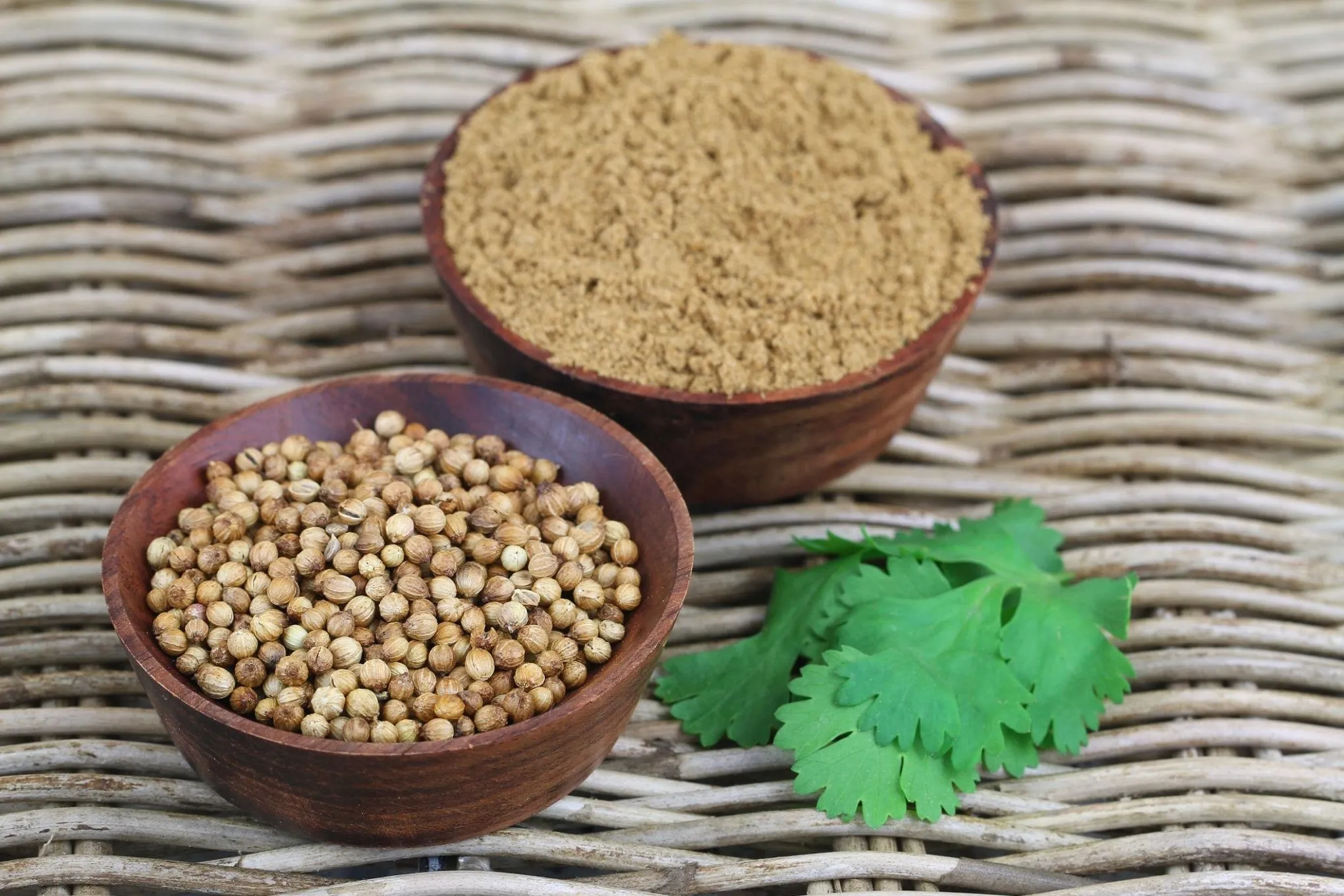 SS Overseas provides reliable bulk coriander powder Fast supply from India with quality assurance