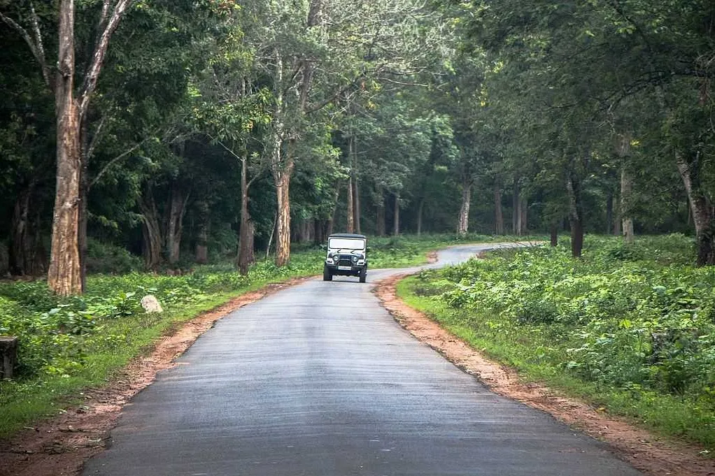 Places To Visit In Coorg
Nagarhole National Park
Nagarhole National Park Tourism
Nagarhole Natio...