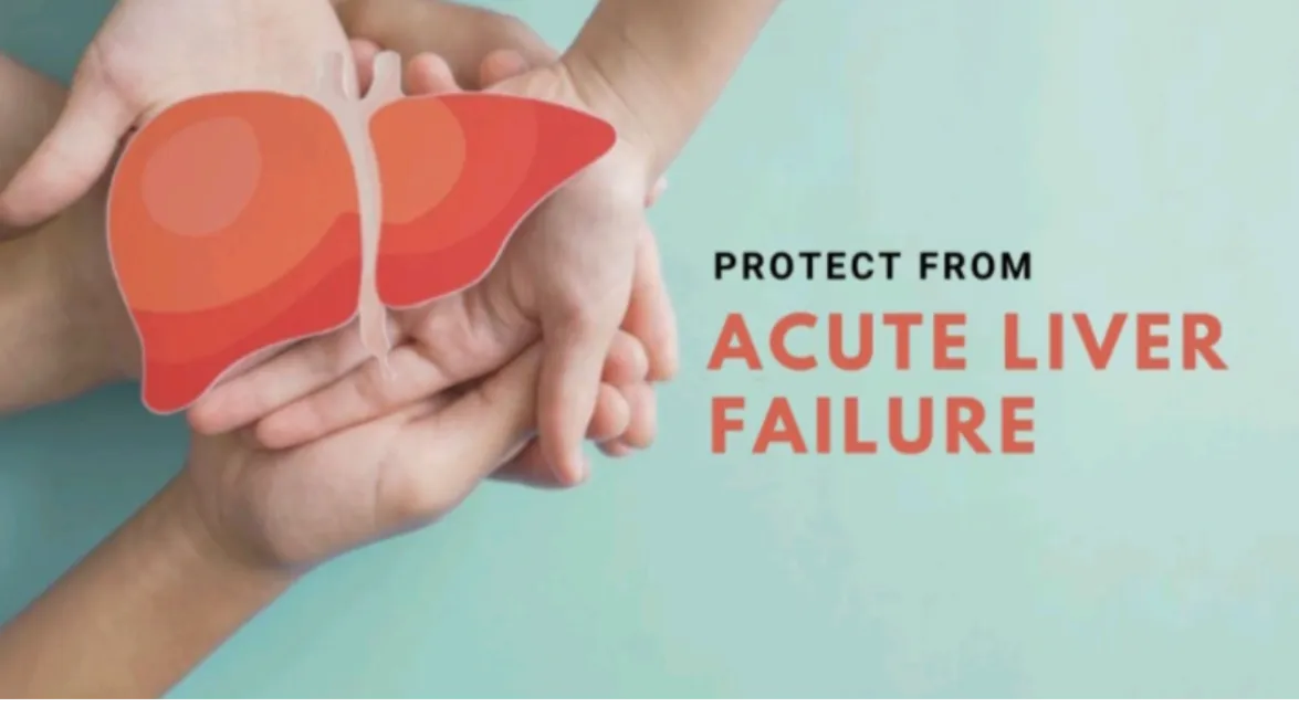 Understanding Acute Liver Failure Before It Becomes a Medical Emergency